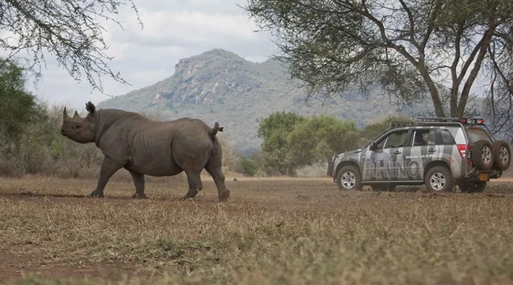 Stichting Suzuki Rhino Club