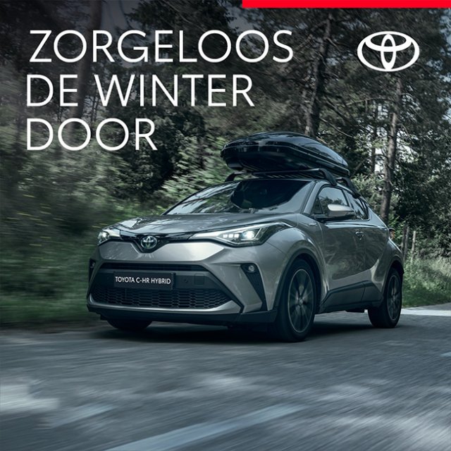 Toyota wintercheck